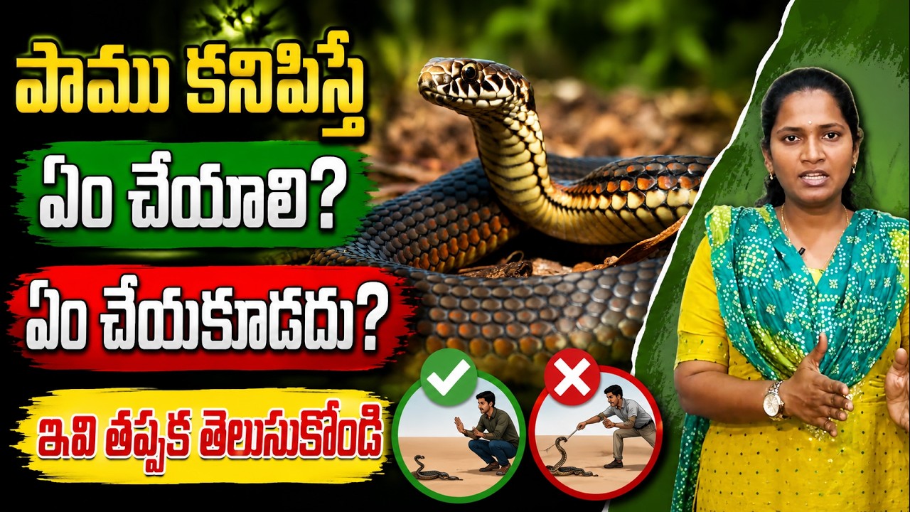 పాము కనిపిస్తే ఏం చేయాలి? ఏం చేయకూడదు? ఇవి తప్పక తెలుసుకోండి| Asianet News Telugu