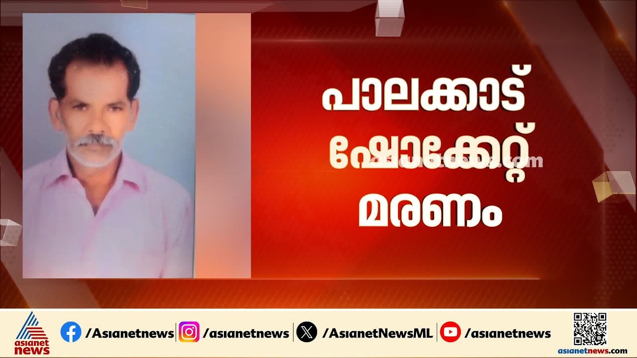 പാലക്കാട് ഷോക്കേറ്റ് മരണം; അപകടം പാടത്ത് സർവീസ് വയർ ഉയർത്തുന്നതിനിടെ | Palakkad | Electric Shock