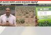 Seed Company Scam Dupes Farmers