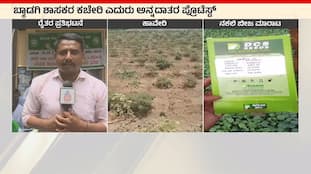 Seed Company Scam Dupes Farmers