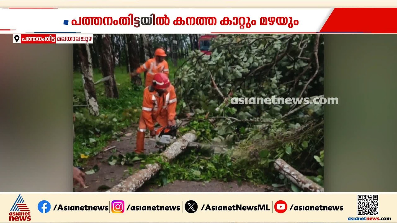 പത്തനംതിട്ടയിൽ കനത്ത മഴയും കാറ്റും; മലയാലപ്പുഴയിൽ റോഡിൽ മരം വീണു | Pathanamthitta | Kerala Rains