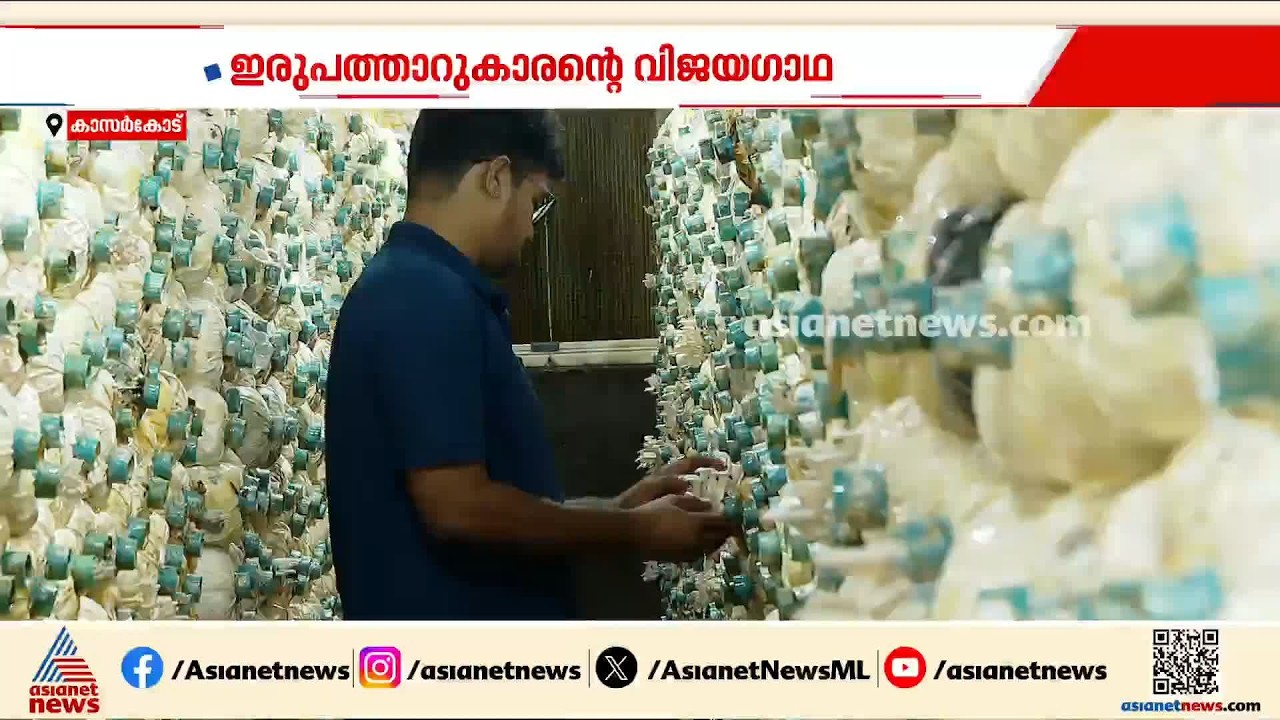 ഹൈടെക് കൂൺ കൃഷിയുമായി ഇരുപത്താറുകാരൻ്റെ വിജയഗാഥ | Mushroom Farming | Kasaragod