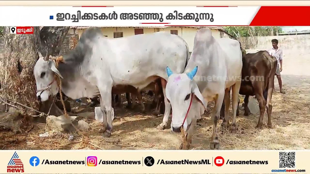 കേരളത്തിൽ മാട്ടിറച്ചിക്ക് ക്ഷാമം; സംസ്ഥാനത്ത് പലയിടത്തും ഇറച്ചിക്കടകൾ അടച്ചിടുന്നു