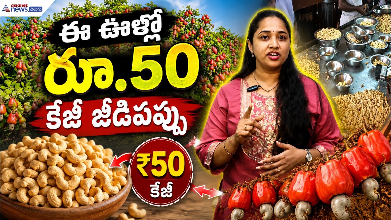 ఈ ఊళ్లో రూ.50 కేజీ జీడిపప్పు.. | Cashew Nuts at Vegetable Prices? | Asianet News Telugu