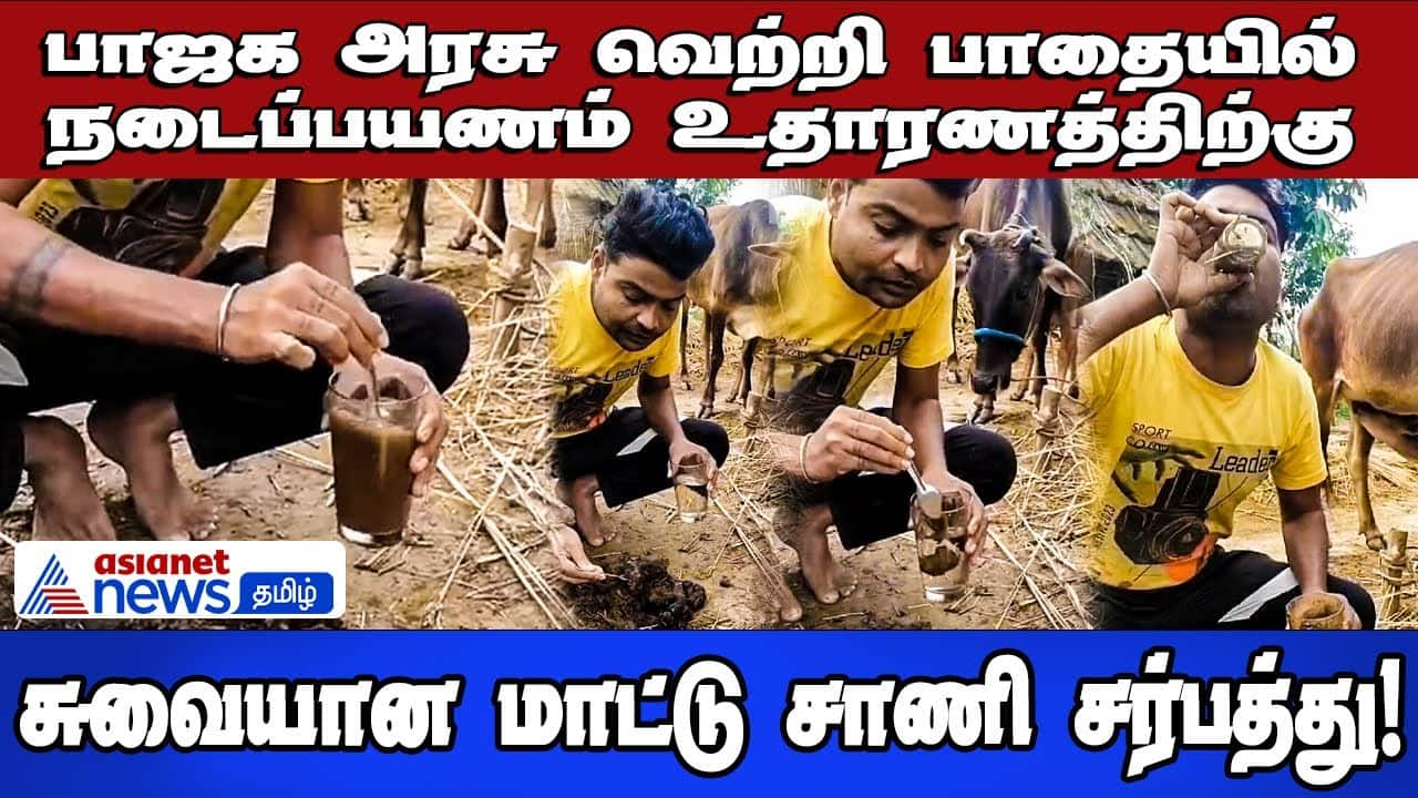 BJP's Victory March: Cow Dung Sherbet Fuels Debate (Viral Video)