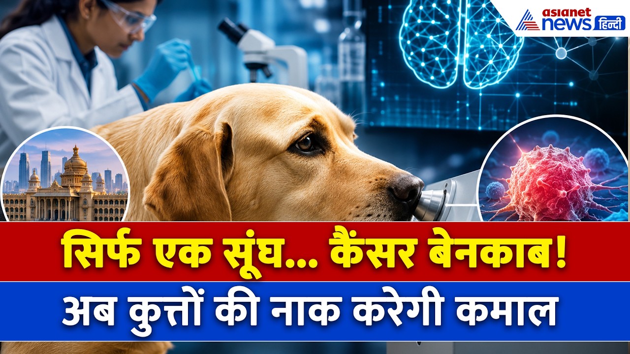 अब डॉक्टर नहीं, कुत्ते बताएंगे कैंसर? Dog Nose + AI की जोड़ी ने मचाया तहलका