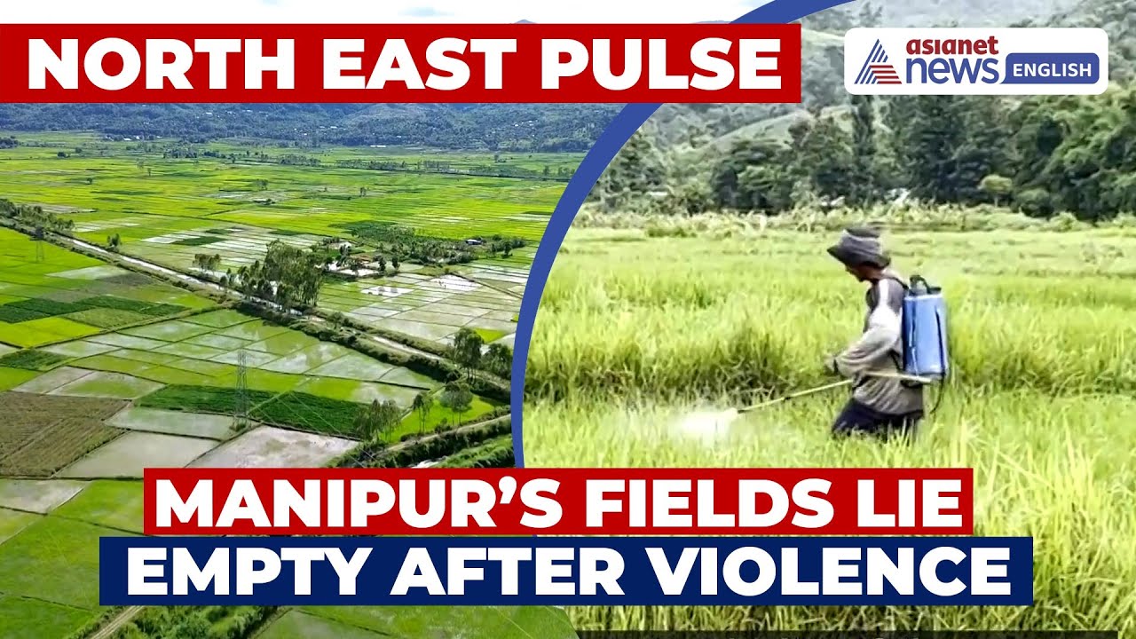 North East Pulse | Lost Harvests of Manipur: Conflict Turns Farmland Into No-Man’s Land