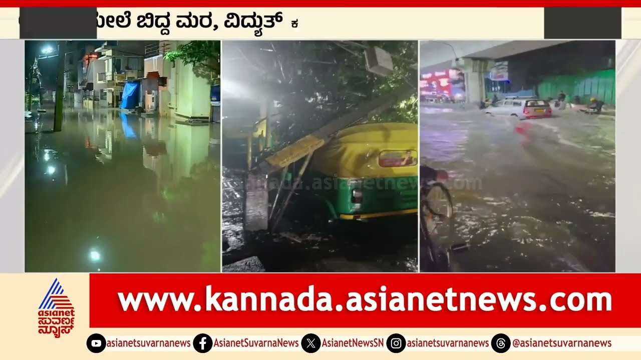 ಚಲಿಸುತ್ತಿದ್ದ  ಆಟೋ ಮೇಲೆ ಬಿದ್ದ ಮರ