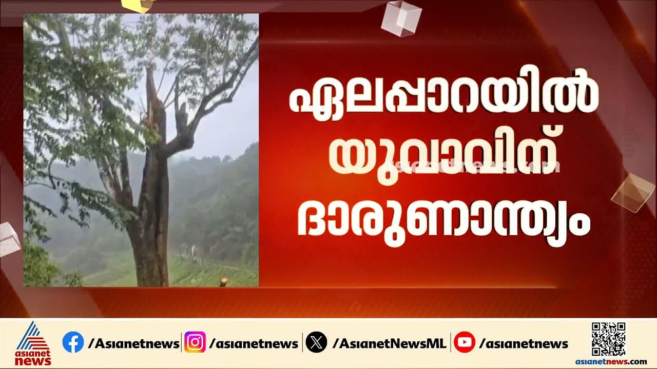 ഏലപ്പാറയിൽ ഓടിക്കൊണ്ടിരുന്ന ഇരുചക്രവാഹനത്തിലേക്ക് മരം വീണു; യുവാവിന് ദാരുണാന്ത്യം