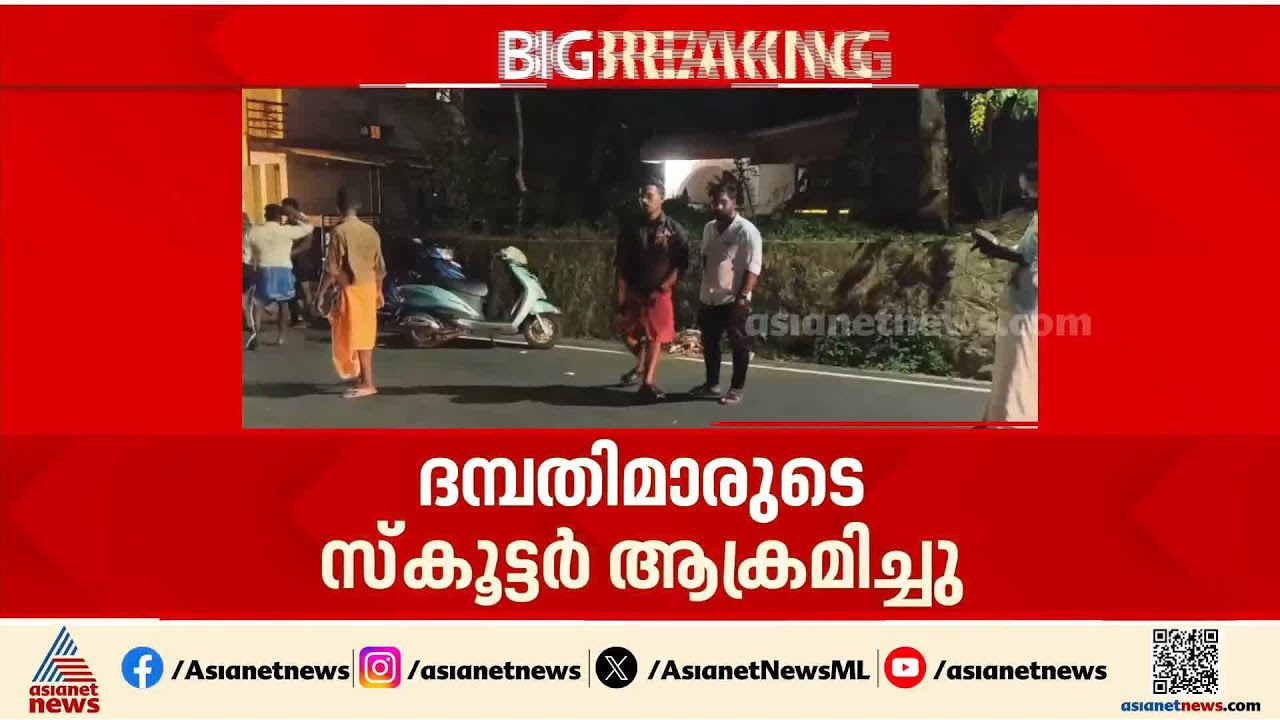 കൊല്ലം അലയമണ്ണിൽ കാട്ടുപോത്ത് ആക്രമണം; ദമ്പതികൾ സഞ്ചരിച്ച സ്‌കൂട്ടർ ഇടിച്ചിട്ടു