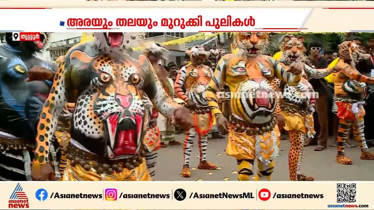 പൂര ന​ഗരിയിൽ പുലികളിറങ്ങി; മടവിട്ട് സ്വരാജ് റൗണ്ട് ചുറ്റാൻ 9 സംഘങ്ങളിലായി പുലികൾ | Pulikkali