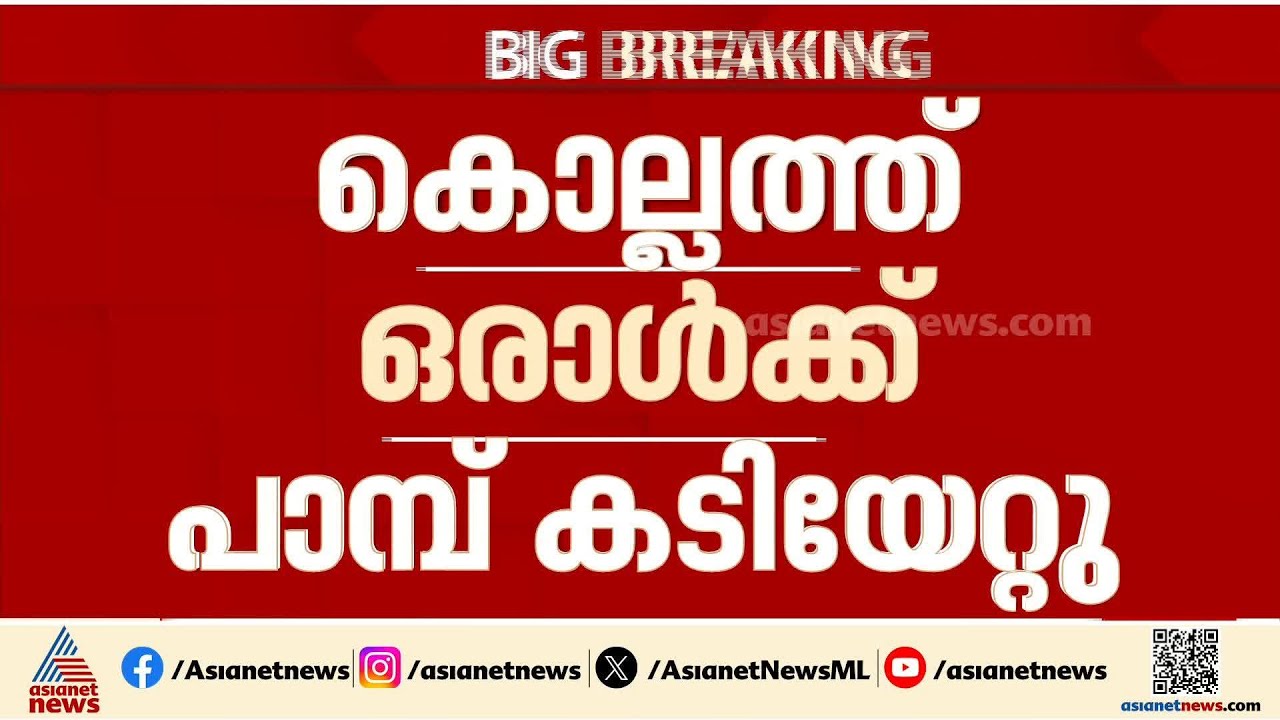 കൊല്ലത്ത് ഒരാൾക്ക് പാമ്പുകടിയേറ്റു; ആശങ്കപ്പെടേണ്ട സാഹചര്യമില്ലെന്ന് ഡോക്ടർമാർ