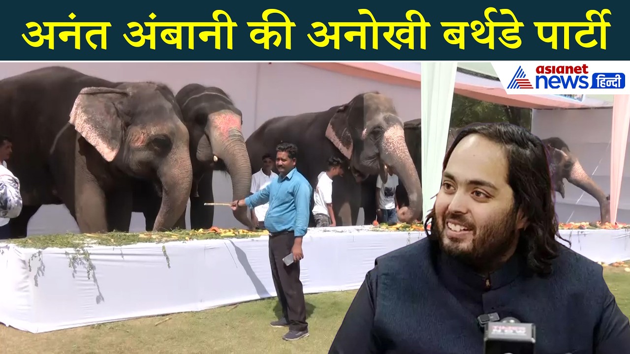 Anant Ambani Birthday: अनंत अंबानी की हाथियों के लिए स्पेशल पार्टी, देखें ये यूनिक सेलिब्रेशन