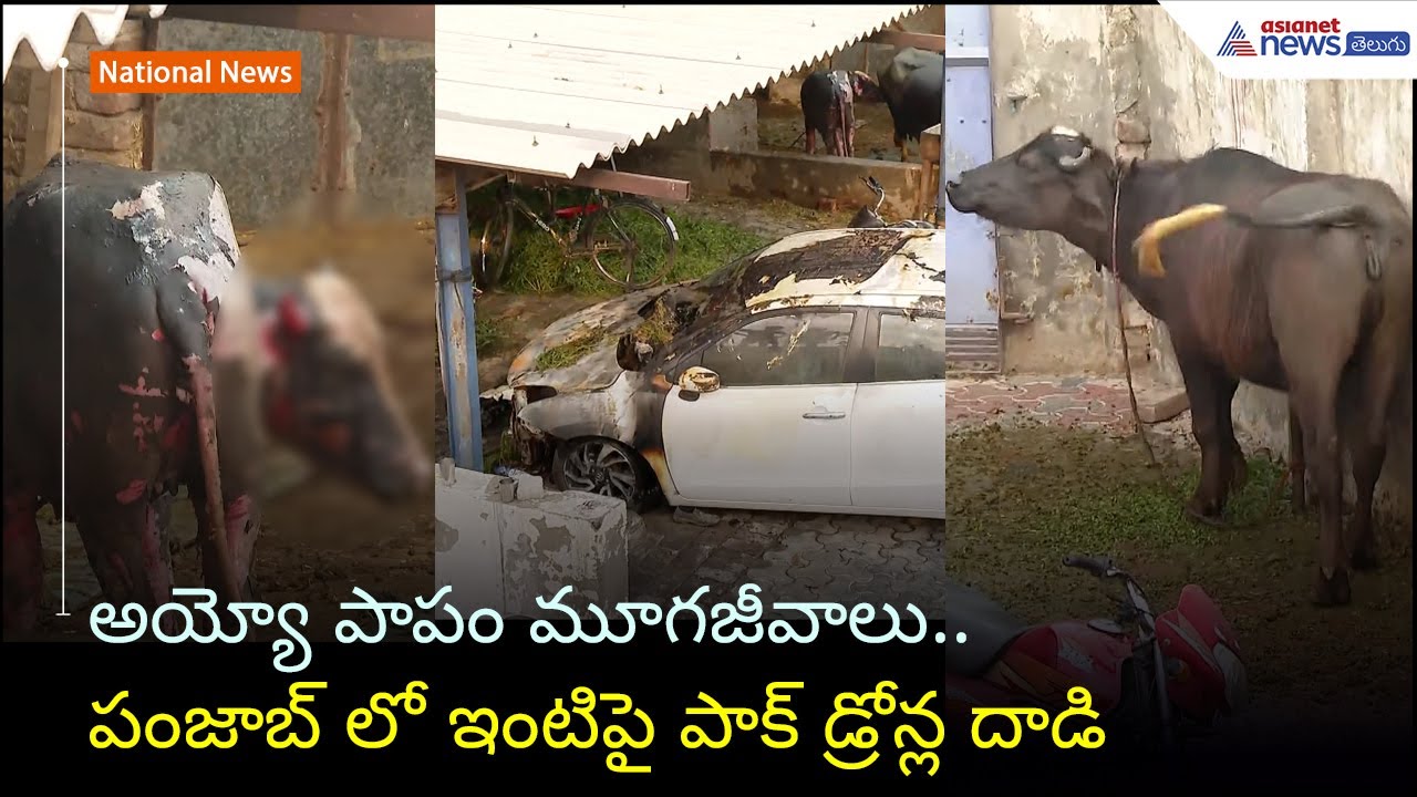 అయ్యో పాపం మూగజీవాలు.. పంజాబ్ లో ఇంటిపై పాక్ డ్రోన్ల దాడి | India vs Pakistan | Asianet News Telugu