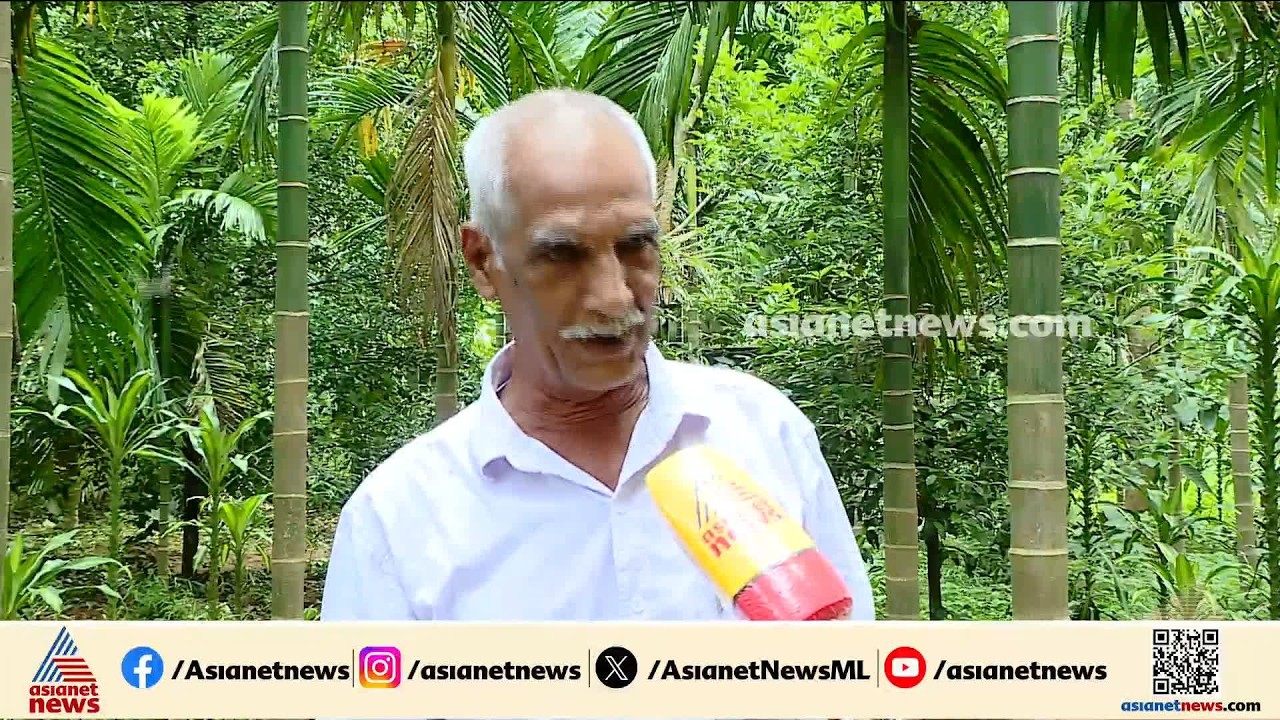 പുഴകടന്ന് ആനകൾ എത്തുന്നത് പതിവാകുന്നു; കൃഷിയിടങ്ങൾ നശിപ്പിച്ചതോടെ കർഷകർ ദുരിതത്തിൽ