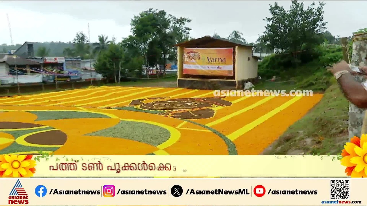 ഭീമൻ പൂക്കളം തീർത്ത് വയനാട്ടുകാർ; ഇരുളം ഗവ. ഹൈസ്കൂളിൽ പൂക്കളമൊരുക്കിയത് 10 ടൺ പൂക്കളുപയോഗിച്ച്