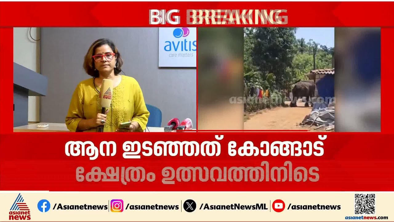 ഉത്സവത്തിനിടെ ആനയിടഞ്ഞു, തളയ്ക്കാൻ ശ്രമിക്കുന്നതിനിടെ പാപ്പാനെ ചവിട്ടിക്കൊന്നു | Palakkad