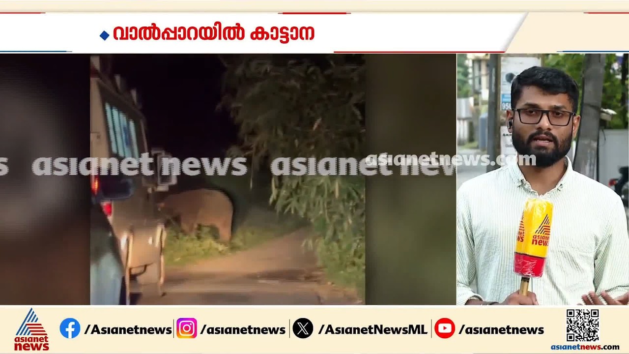 വാൽപ്പാറയിൽ ആംബുലൻസ് ആക്രമിച്ച് കാട്ടാന; വാഹനത്തിന്റെ കണ്ണാടി തകർത്തു, ദൃശ്യങ്ങൾ പുറത്ത്
