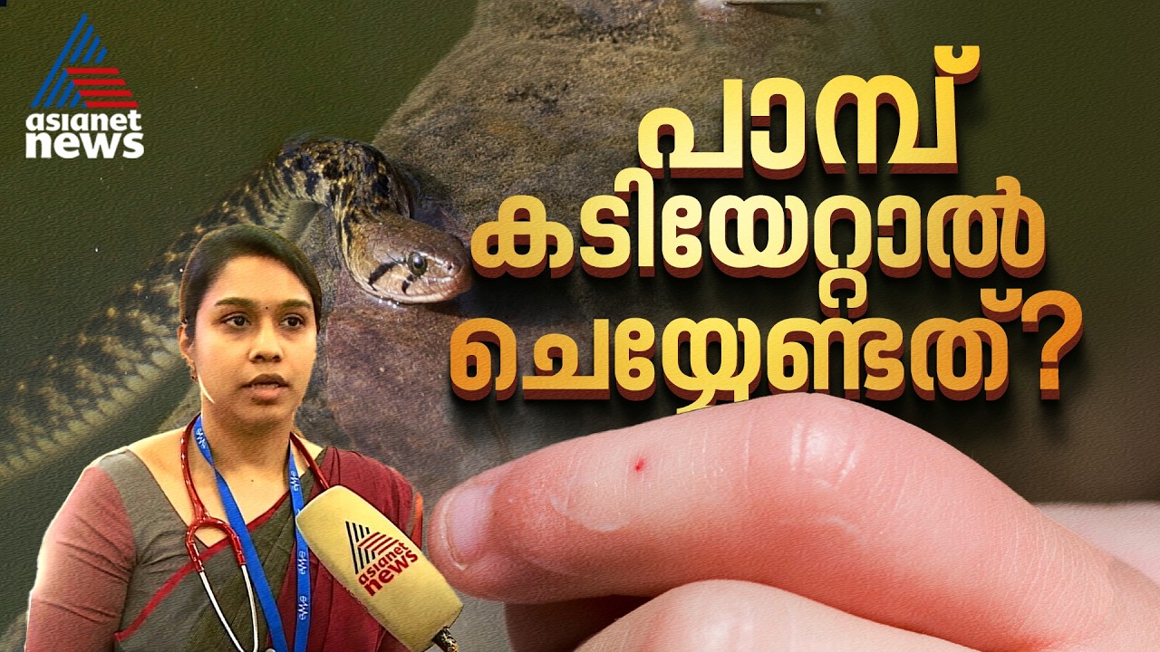 'എല്ലാ പാമ്പുകളും കടിക്കുമ്പോള്‍ വേദന ഉണ്ടാകില്ല, ലക്ഷണങ്ങള്‍ വ്യത്യസ്തമാണ്'; ഡോ.അർച്ചന |Snake Bites