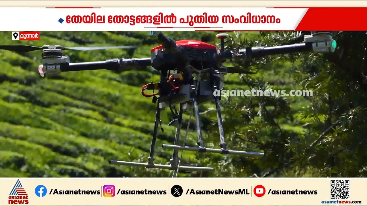 ഹൈടെക്..ഹൈടെക്;മൂന്നാറിലെ തേയില തോട്ടങ്ങളില്‍ കൊളുന്ത് നീക്കത്തിന് ഡ്രോണ്‍ സംവിധാനം