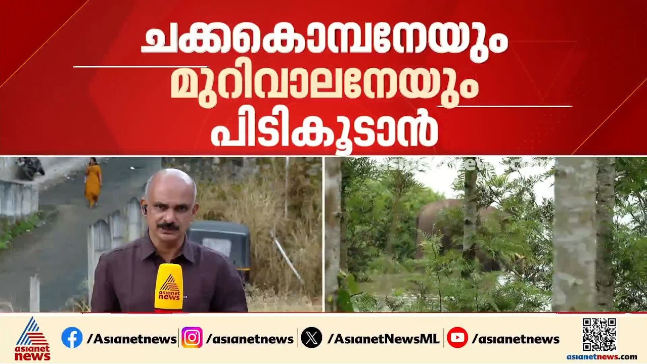ചിന്നക്കനാലിലെ കാട്ടാന ആക്രമണം; വീണ്ടും മയക്കുവെടി ദൗത്യത്തിന്, ലക്ഷ്യം ചക്കക്കൊമ്പനും മുറിവാലനും