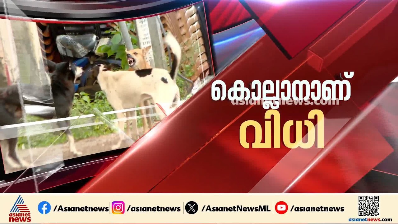 തെരുവ് നായ ആക്രമണത്തിന് പരിഹാരമോ?; തദ്ദേശ സ്ഥപനങ്ങളിൽ പ്രത്യക സമിതി | Street dog