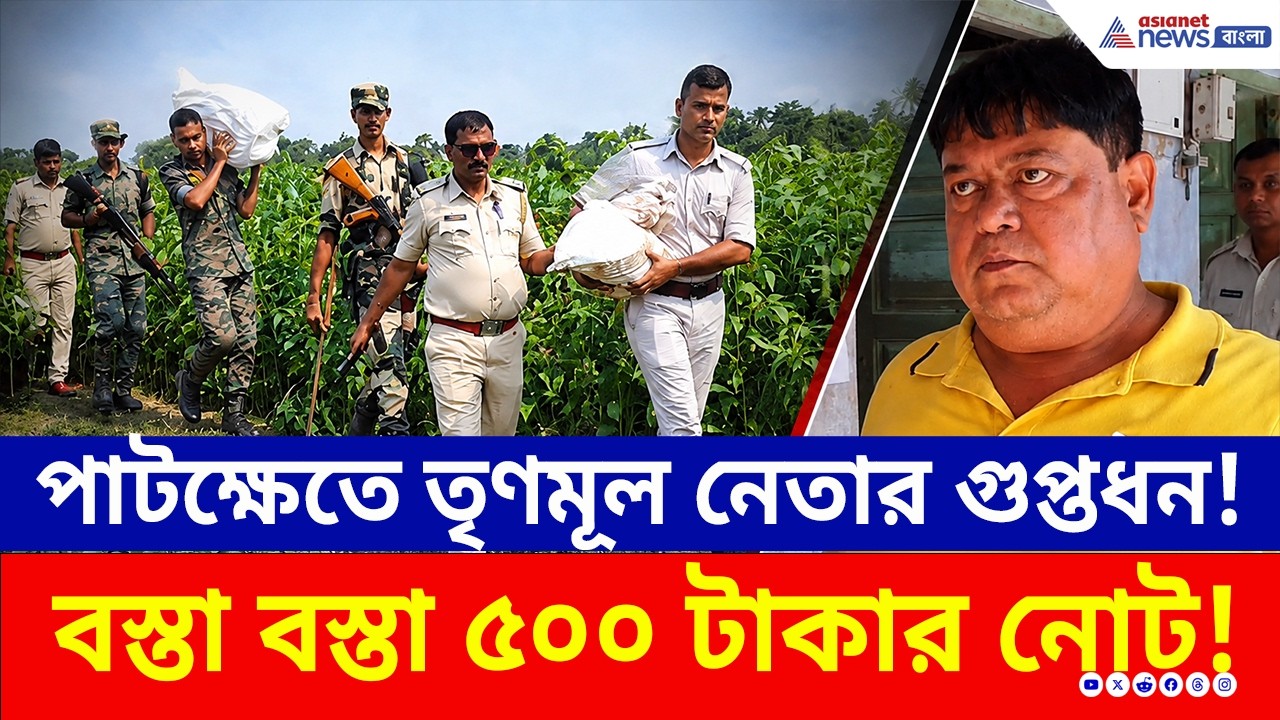 তৃণমূল নেতার গুপ্তধন! পাটক্ষেতে গর্ত করে লুকিয়ে রেখেছিল বস্তা বস্তা টাকা | TMC News Baduria