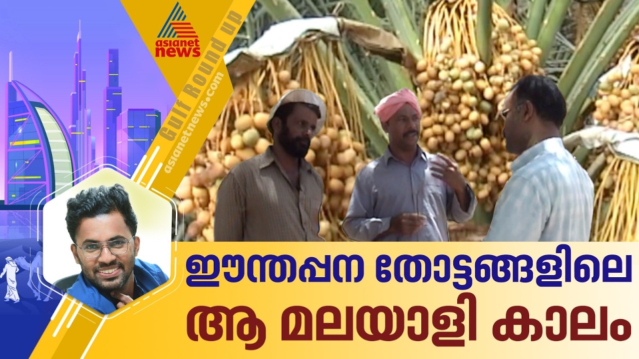 ഈന്തപ്പന തോട്ടങ്ങളിലെ മലയാളി തൊഴിലാളികള്‍; പതിറ്റാണ്ടുകള്‍ക്ക് മുന്‍പ് ഗള്‍ഫ് റൗണ്ടപ്പ് കണ്ട കാഴ്ച്ച