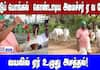 Minister Velu Celebrates Mattu Pongal with Traditional Plowing