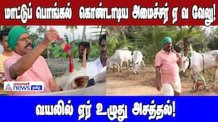 Minister Velu Celebrates Mattu Pongal with Traditional Plowing