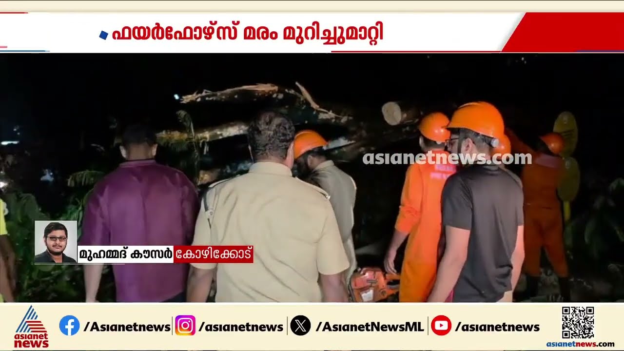 താമരശ്ശേരിക്ക് സമീപം മരം കടപുഴകി റോഡിലേക്ക് വീണു, ബൈക്ക് യാത്രികൻ രക്ഷപ്പെട്ടത് തലനാരിഴയ്ക്ക്