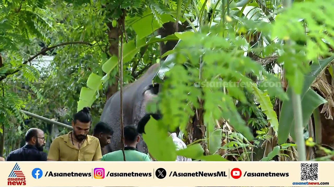 തൃശൂരിൽ വൻ നാശനഷ്ടം;  ശിവം ലക്ഷ്മി അയ്യപ്പൻറെ കലിയുടെ കാരണം പാപ്പന്റെ മർദനമോ?