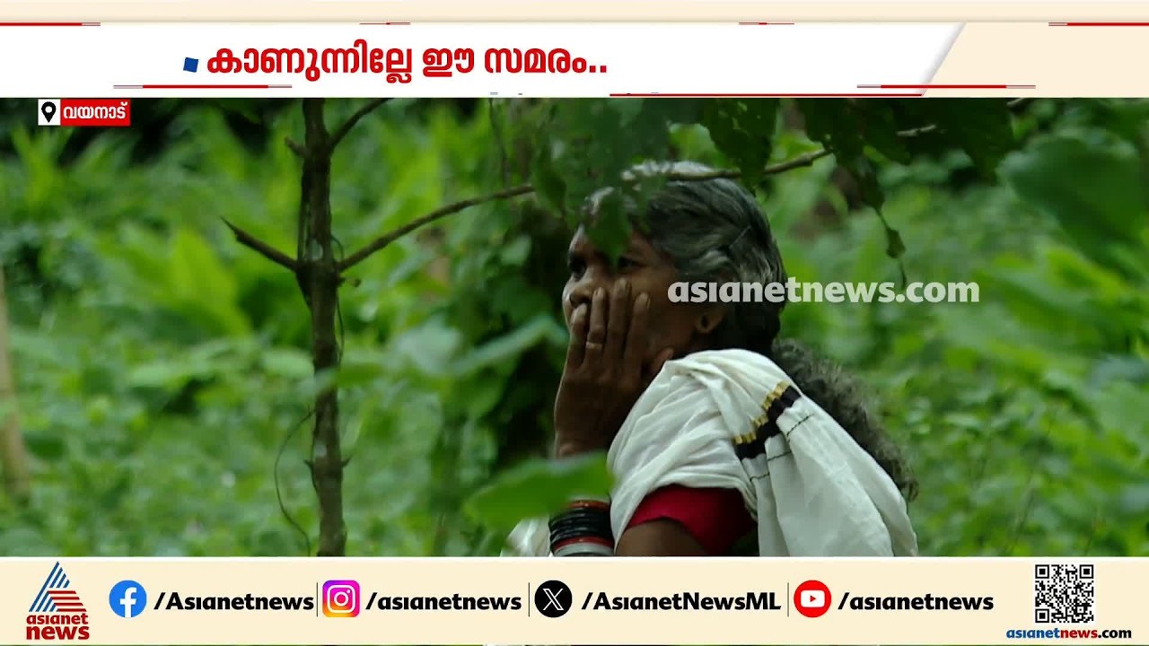 'കറന്റില്ല, വെള്ളമില്ല, വീടില്ല'; ഭൂമിയായില്ല, മുന്നൂറോളം ആദിവാസി കുടുംബങ്ങൾ 4 വര്‍ഷമായി സമരത്തിൽ