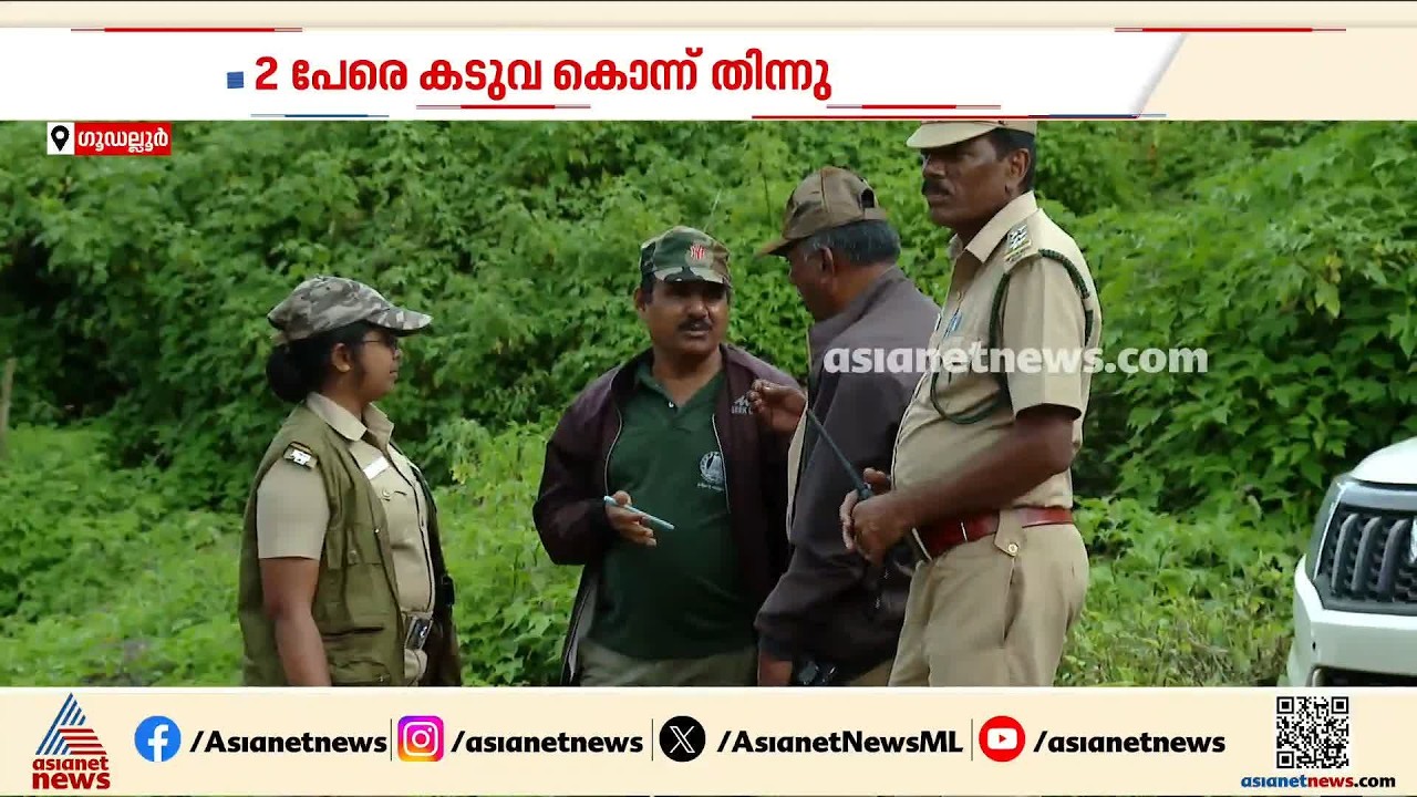 ഗൂഡല്ലൂരിലിറങ്ങിയ നരഭോജി കടുവയെ പിടികൂടാനാകാതെ 12-ാം ദിവസം; പുറത്തിറങ്ങാൻ ഭയന്ന് നാട്ടുകാര്‍