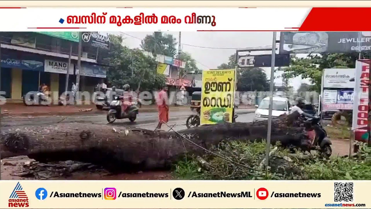 ഓടിക്കൊണ്ടിരുന്ന KSRTC ബസിന് മുകളിൽ മരം വീണു; കൊല്ലം കേരളപുരത്താണ് സംഭവം