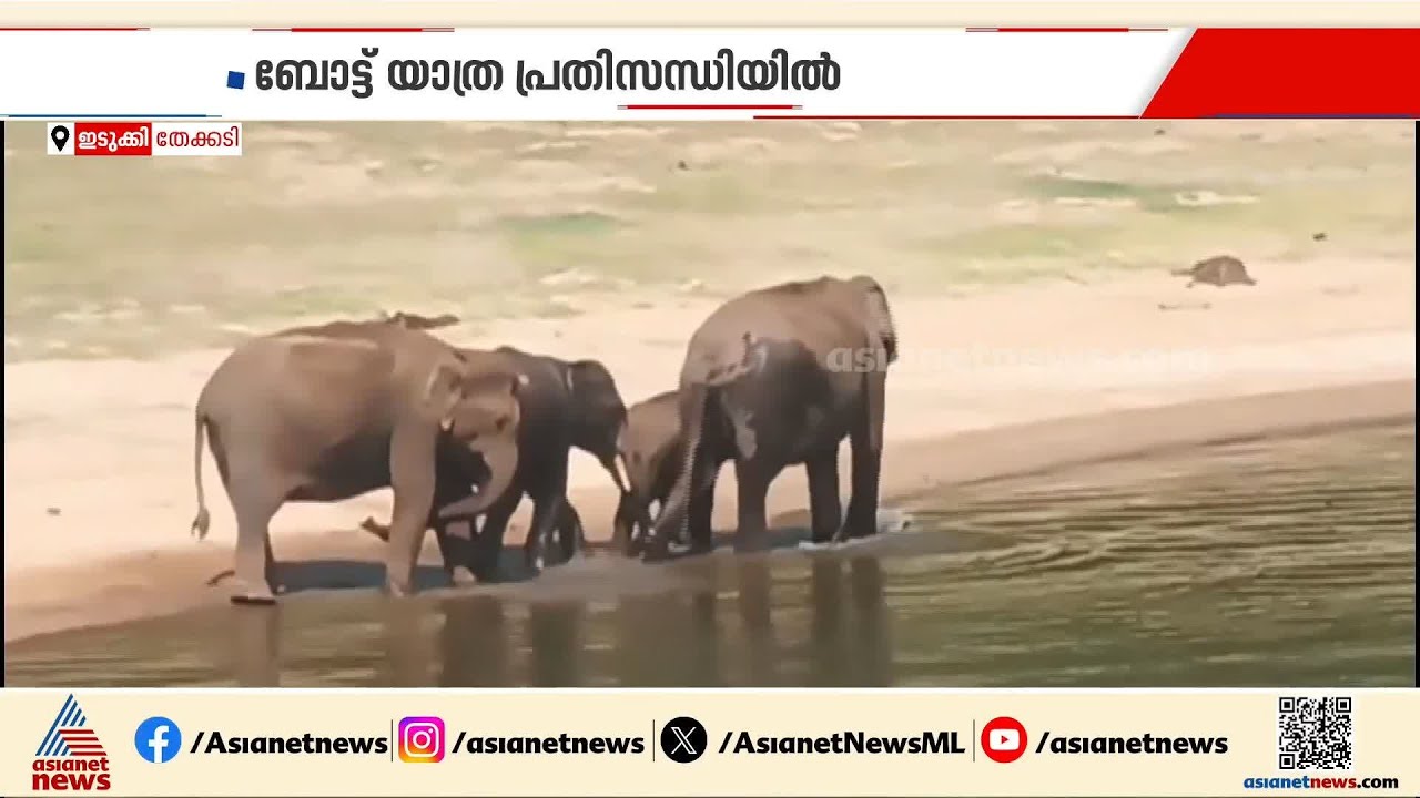 തേക്കടി തടാകം വറ്റി വരളുന്നു, ബോട്ട് യാത്ര പ്രതിസന്ധിയിൽ