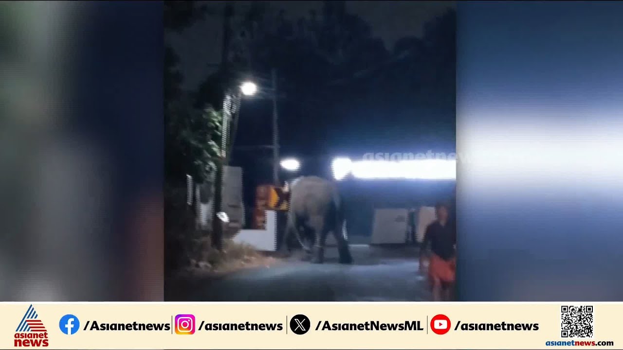 കണ്ണൂരിൽ ക്ഷേത്രോത്സവത്തിനിടെ ആനയിടഞ്ഞു; നിരവധി വാഹനങ്ങൾ തകർത്തു