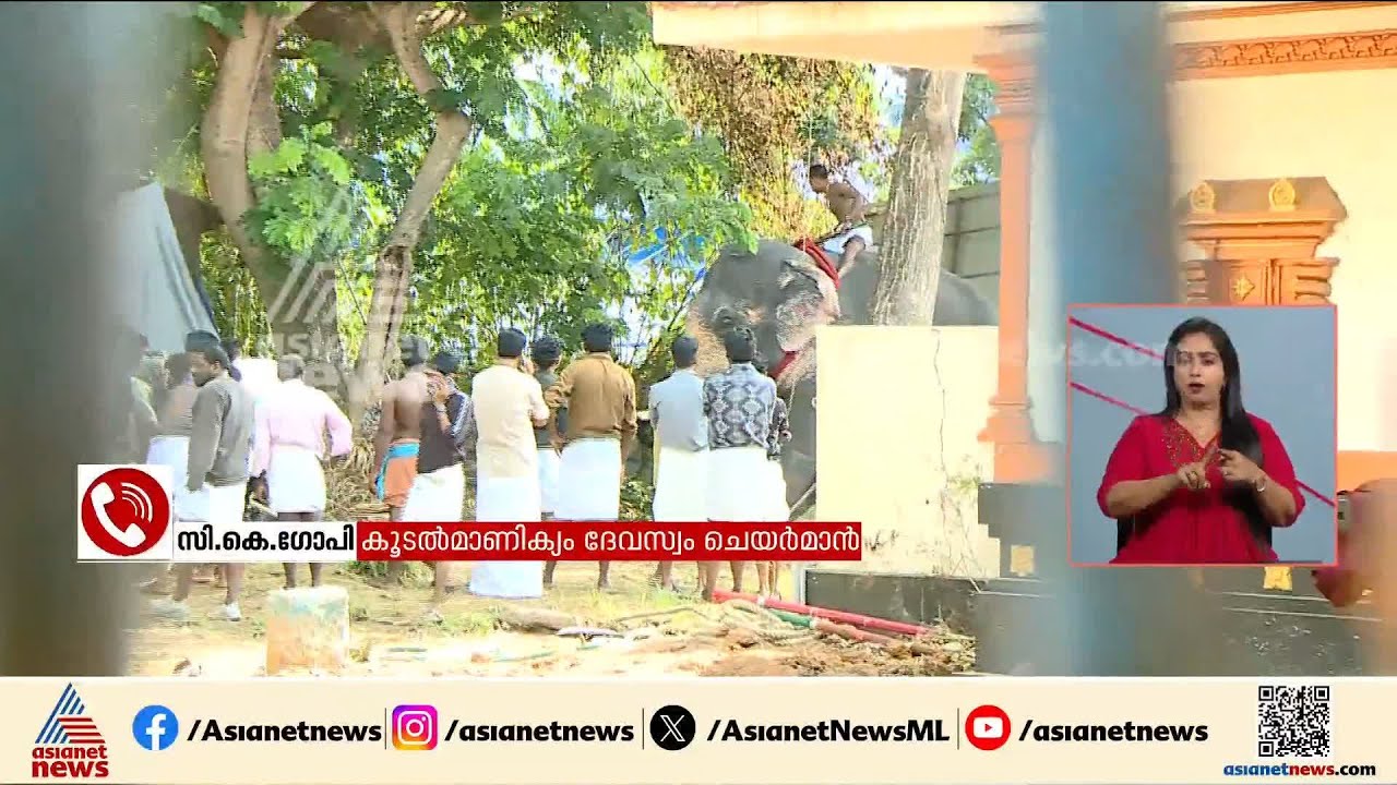 'മനുഷ്യരെ പോലെ ആനകൾക്ക് ചൂട് സഹിക്കാൻ കഴിയില്ല, അവർ അക്രമാസക്തമാകും'; മനോജ് കാമനാട്ട് | Thrissur