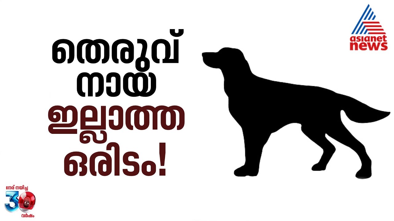 തെരുവ് നായകൾ ഇല്ലാത്ത ഒരിടത്തെക്കുറിച്ച് ചിന്തിച്ചിട്ടുണ്ടോ? എന്നാൽ അങ്ങനെ ഒരു സ്ഥലം ഉണ്ട്!