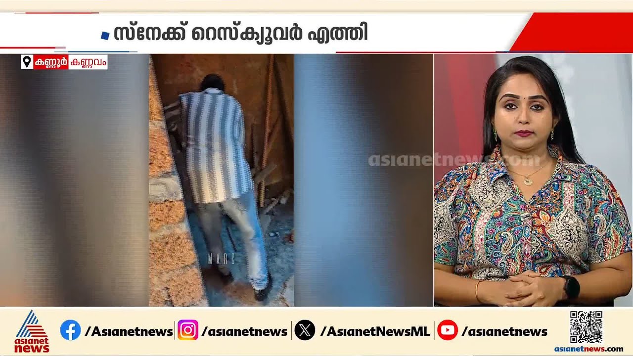 കണ്ണൂര്‍ കണ്ണവത്ത് വിറകുപുരയില്‍ നിന്ന് രാജവെമ്പാലയെ പിടികൂടി | King cobra