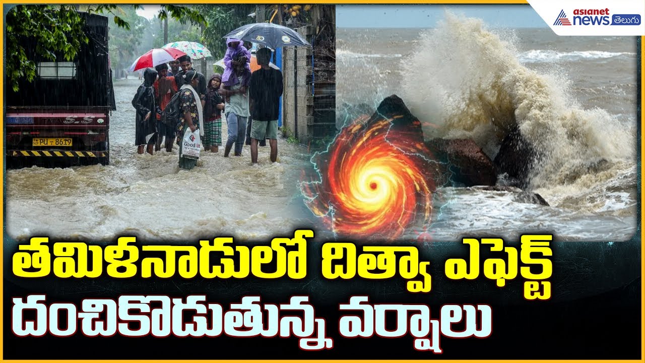 Cyclone Ditwah Effect: తమిళనాడులో దిత్వా ఎఫెక్ట్ దంచికొడుతున్న వర్షాలు | Asianet News Telugu