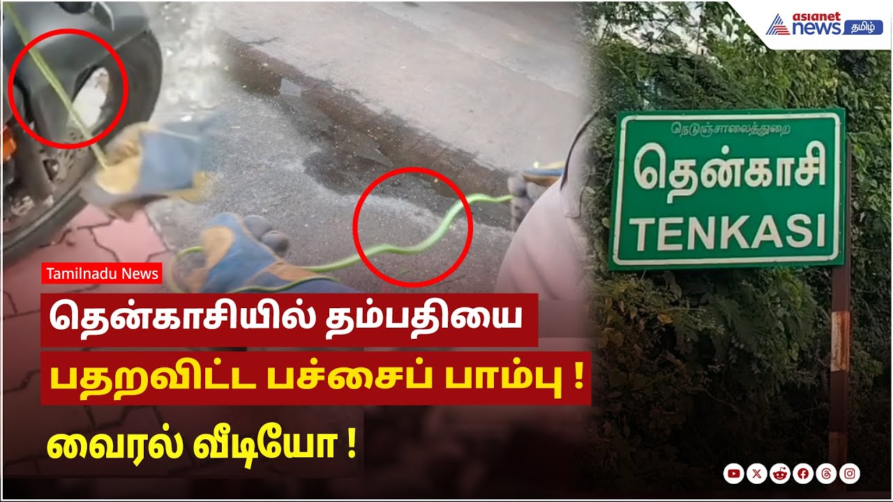 தென்காசியில் தம்பதியை பதறவிட்ட பச்சைப் பாம்பு ! வைரல் வீடியோ !
