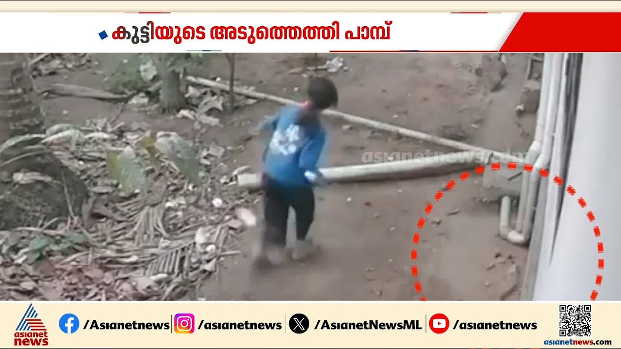 കളിക്കുന്നതിനിടെ കുട്ടിക്ക് അരികിലേക്ക് ഇഴഞ്ഞെത്തി പാമ്പ് ; രക്ഷപ്പെട്ടത് തലനാരിഴയ്ക്ക്