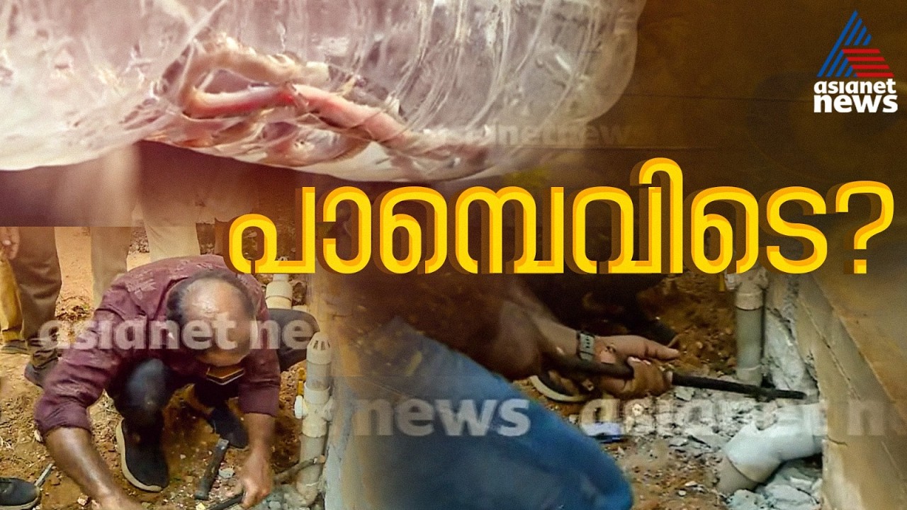 കോടാലിയിലെ വീട്ടിൽ നിന്ന് പാമ്പിനെ കണ്ടെത്താനായില്ല, പരിശോധന അവസാനിപ്പിച്ചു | Snake bite