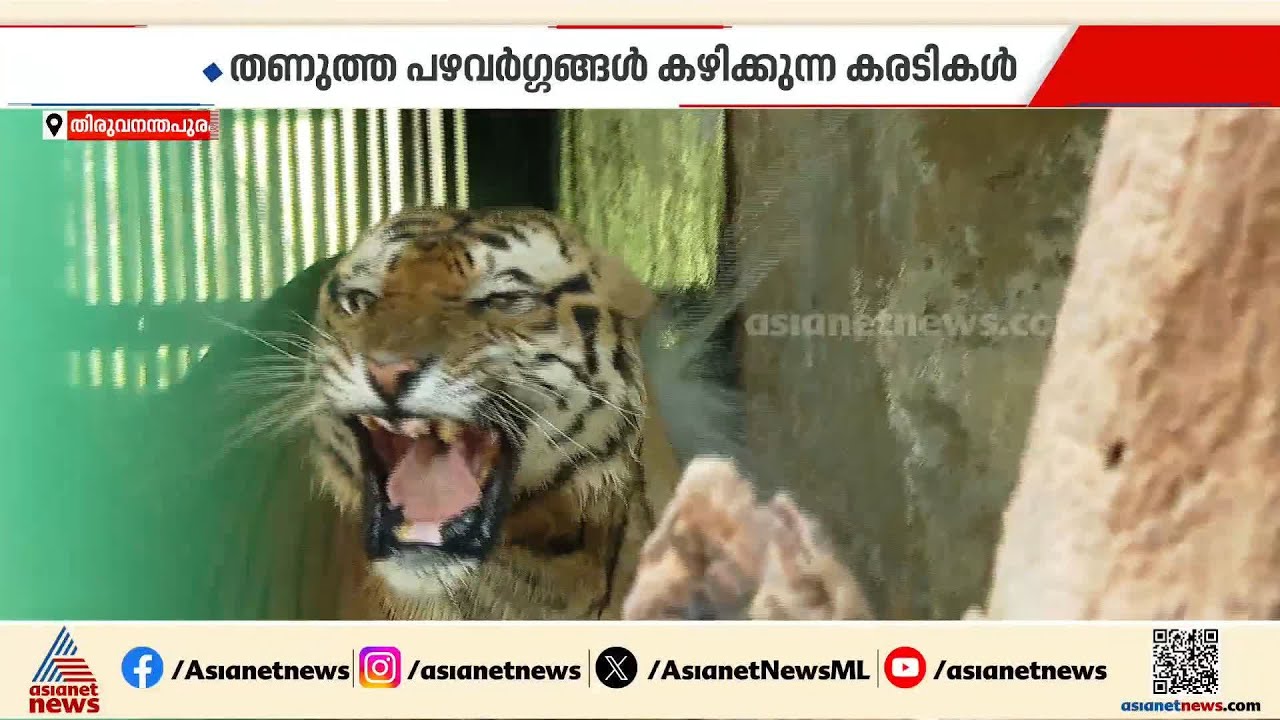 ചില്ല് മോഡ്... ACയിൽ കിടക്കുന്ന പാമ്പുകൾ; കാണാം തിരുവനന്തപുരം  മൃഗശാലയിലെ കാഴ്‌ചകൾ | Trivandrum Zoo