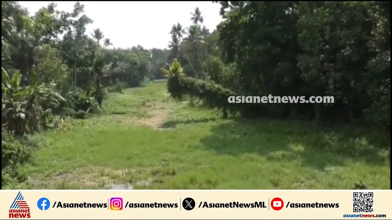 പ്രളയത്തോടെ പഠിച്ചു; ഉത്തരപ്പളളിയാറിന്റെ പുനരുജ്ജീവനത്തായി മുന്നിട്ടിറങ്ങി നാട്