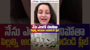 నేను ఎలాగో చనిపోతా.. పిల్లల్నయినా కాపాడండి ప్లీజ్: CM రేవంత్ రెడ్డికి రేణు దేశాయి | Asianet Telugu