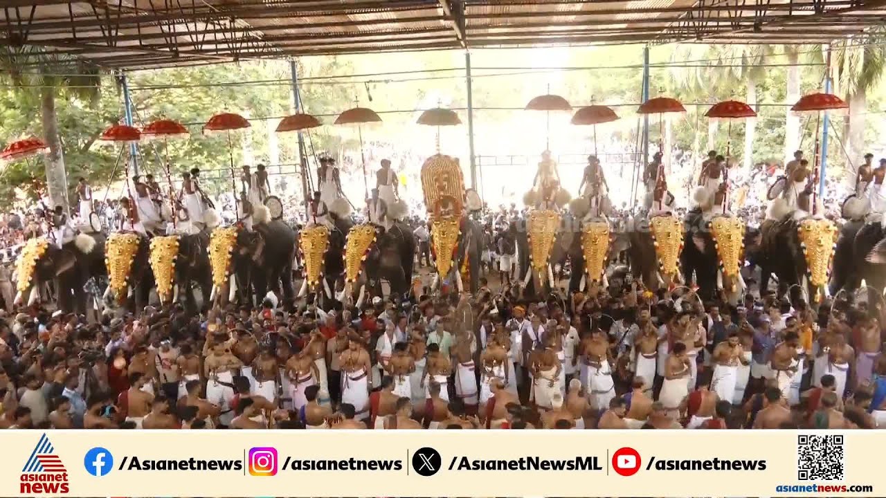 ഘടകപൂരങ്ങൾ ഒന്നിന് പുറകെ ഒന്നായി പൂരനഗരിയിലേക്ക്, തിടമ്പേറ്റി ആവേശം