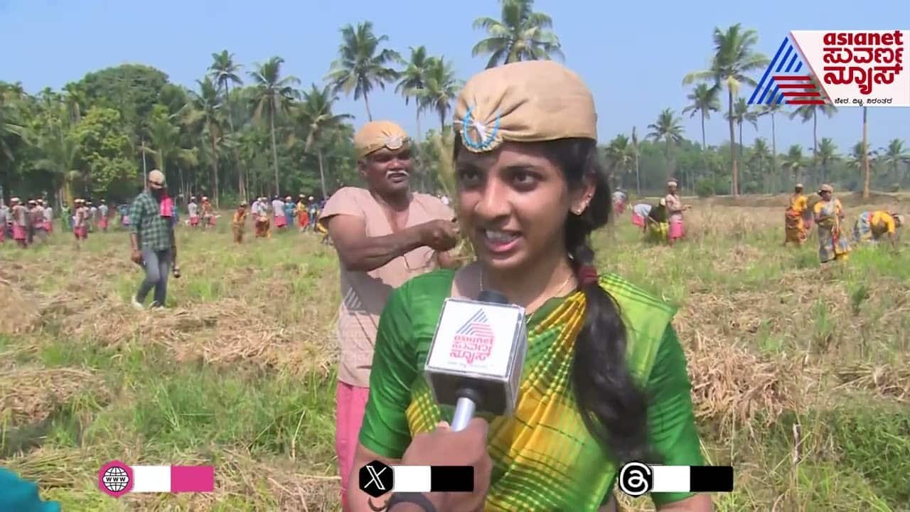 Record Rice Harvest in Beltangadi, Dakshina Kannada