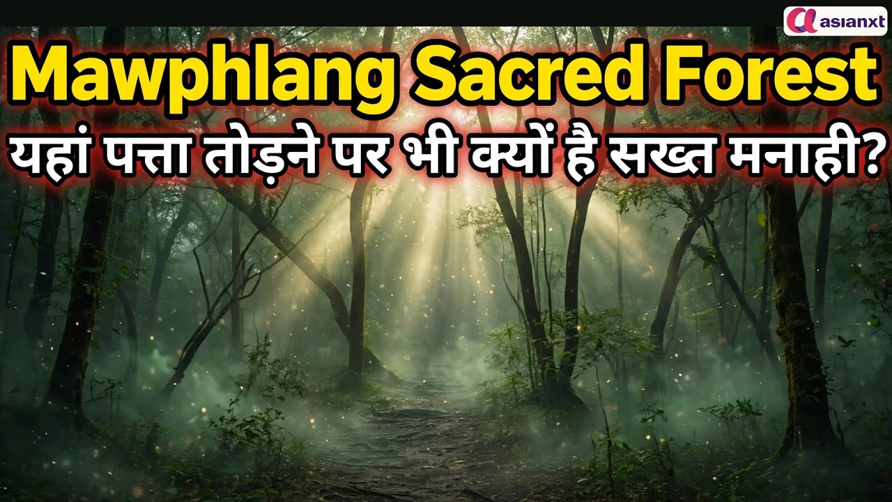 Mawphlang Sacred Forest: मेघालय के इस जंगल से पत्ता उठाना भी मना! आखिर किसका है खौफ?